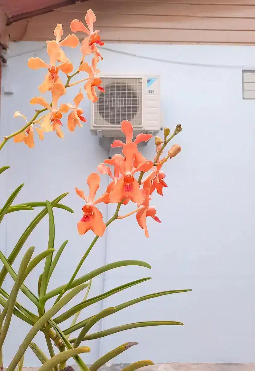 air conditioner with flowers